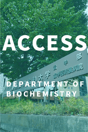 研究所へのアクセス